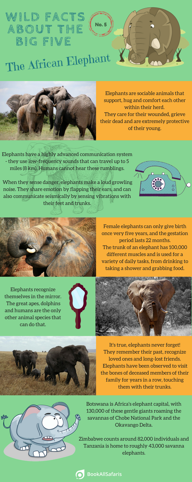 facts-african-elephant