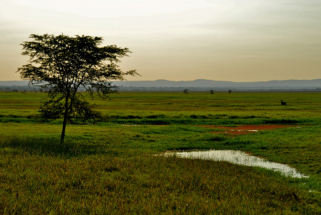 gorongosa-national-park-mozambique