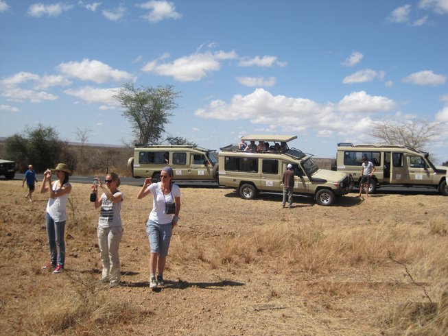 What are some different types of safaris in Tanzania?